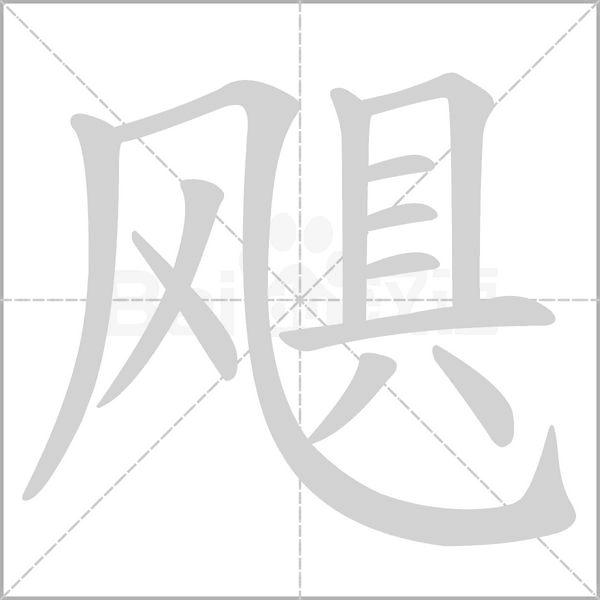 笔顺动画