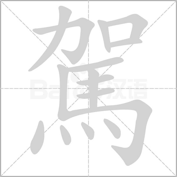 笔顺动画