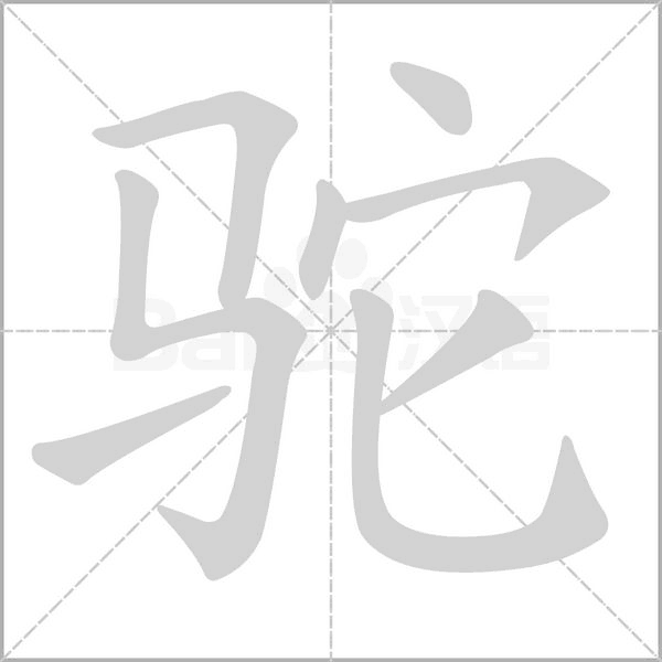 笔顺动画