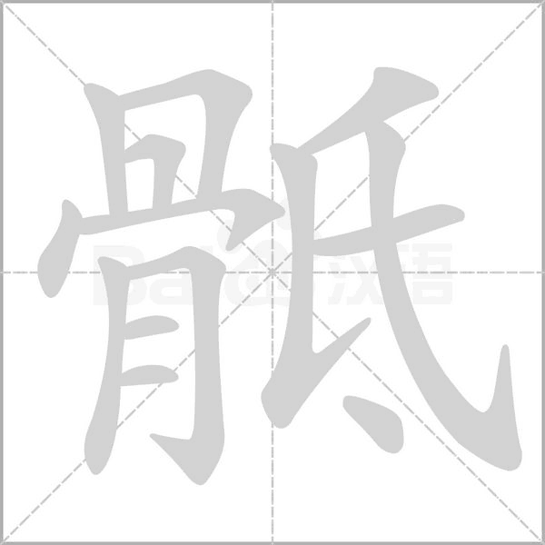 笔顺动画