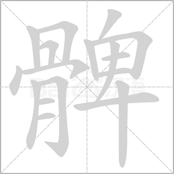 笔顺动画