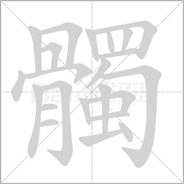 笔顺动画