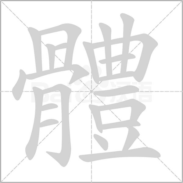 笔顺动画