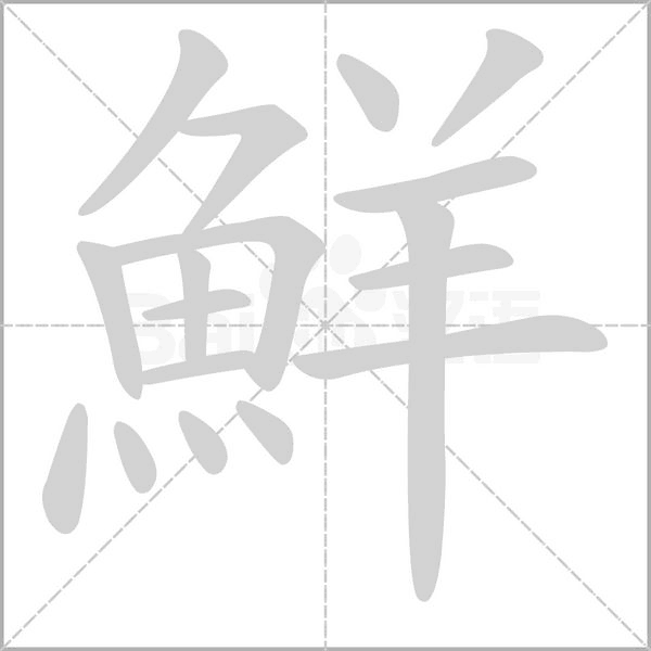 笔顺动画