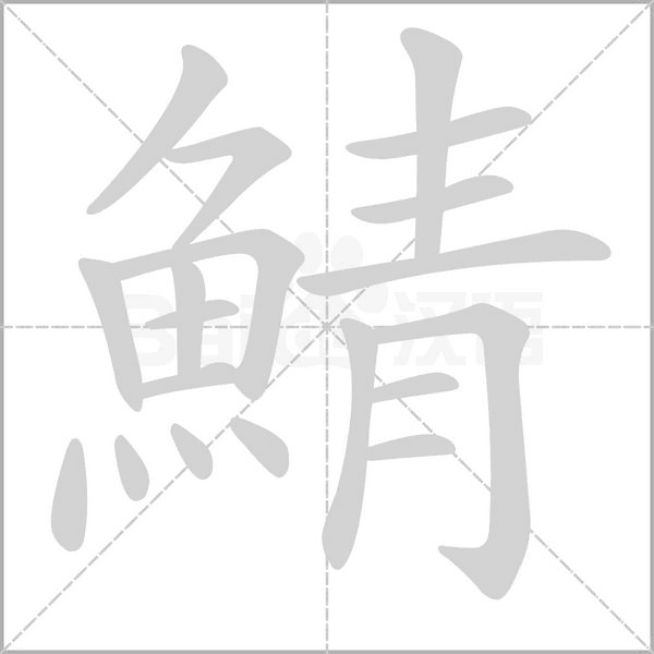 笔顺动画