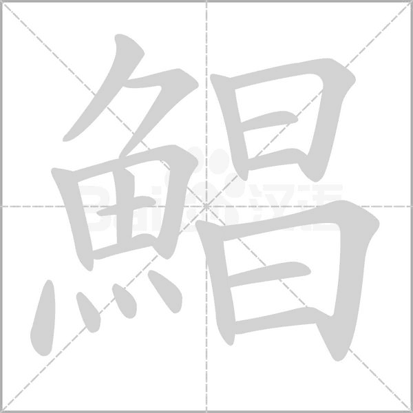 笔顺动画