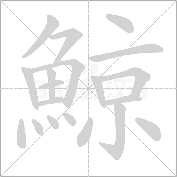 笔顺动画