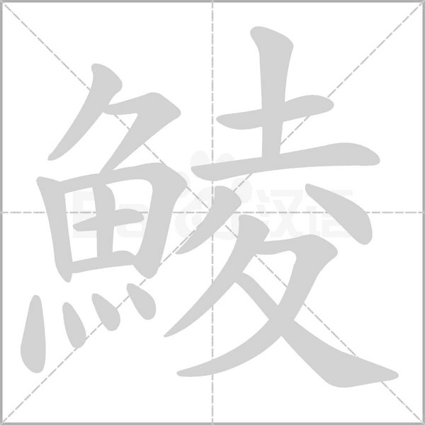 笔顺动画