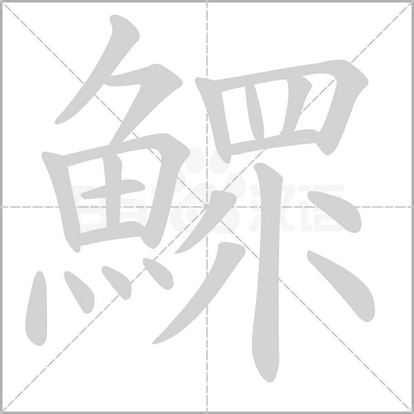 笔顺动画