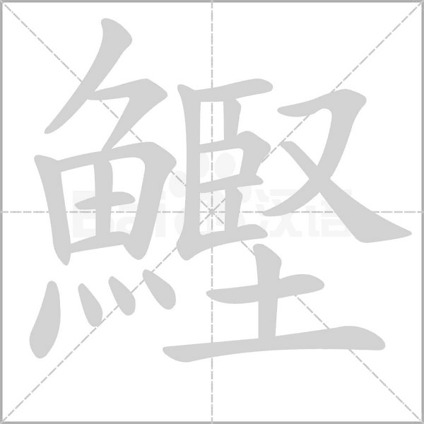 笔顺动画