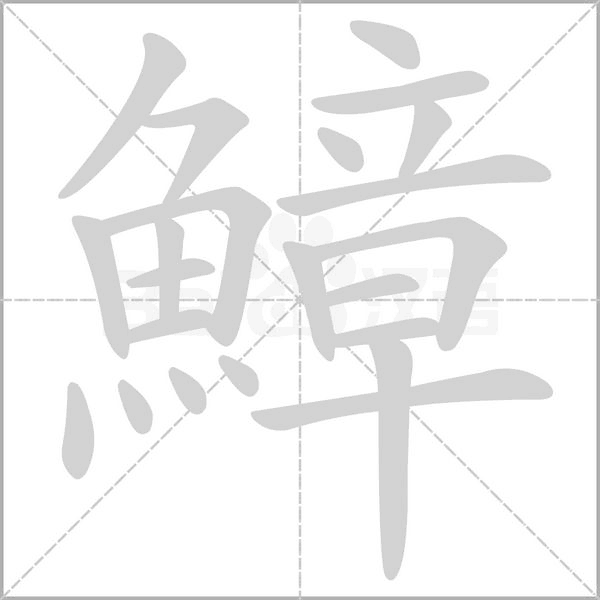 笔顺动画