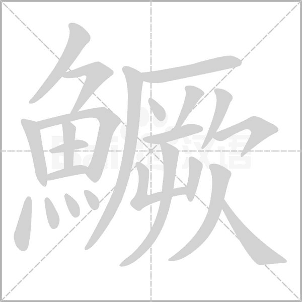 笔顺动画
