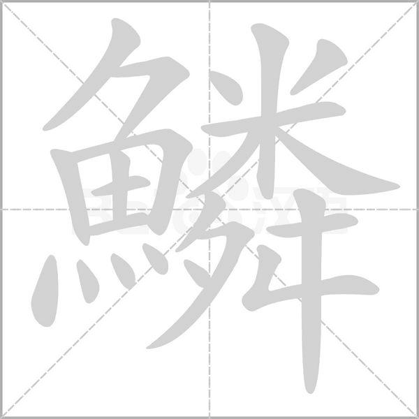 笔顺动画