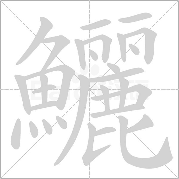 笔顺动画