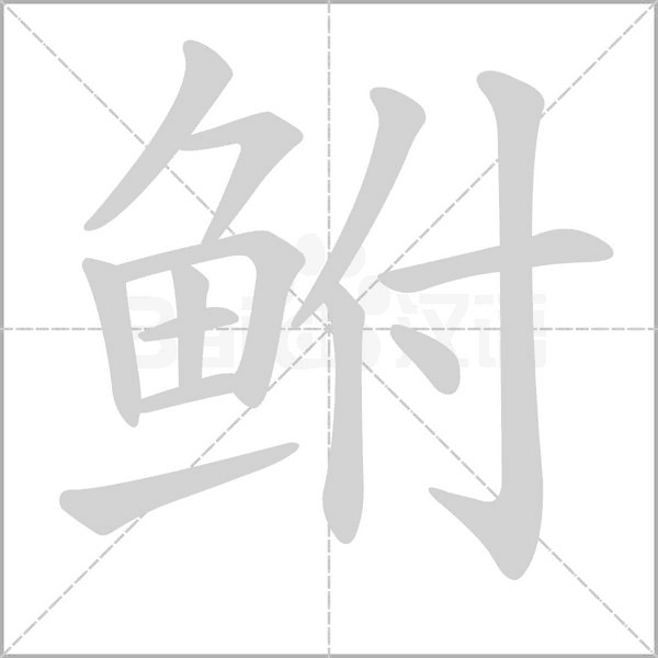 笔顺动画