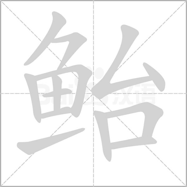 笔顺动画