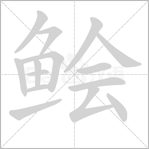 笔顺动画