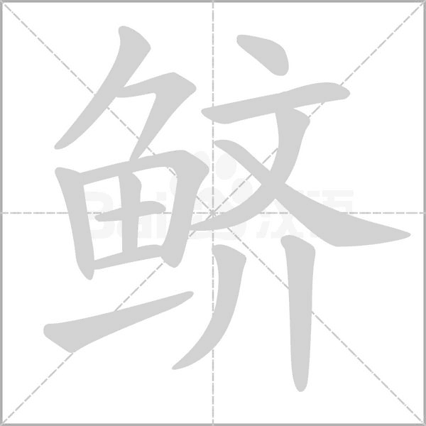 笔顺动画