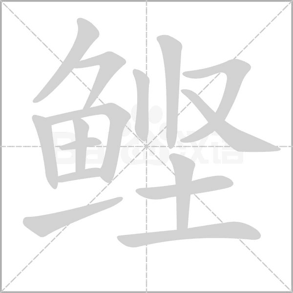 笔顺动画