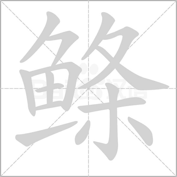 笔顺动画