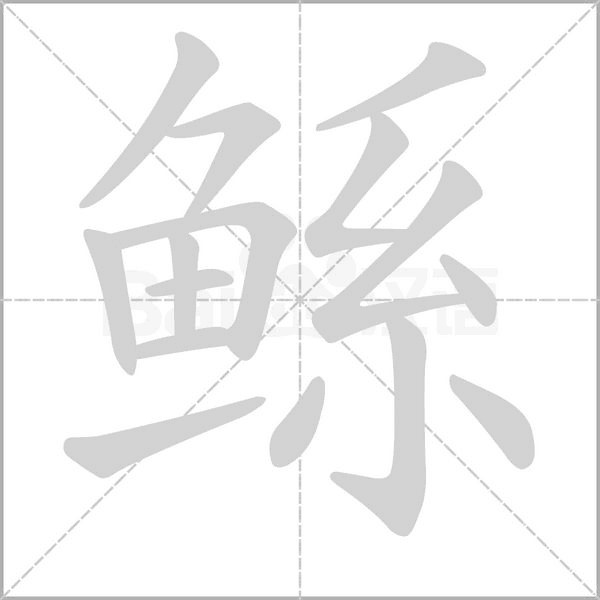 笔顺动画