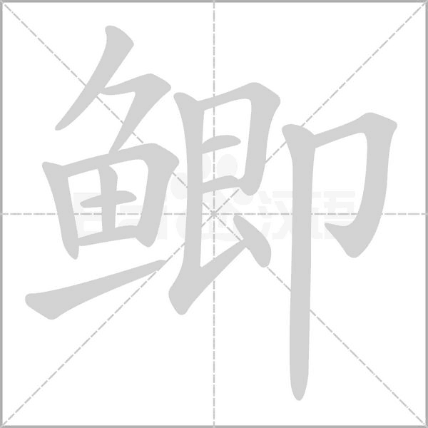 笔顺动画