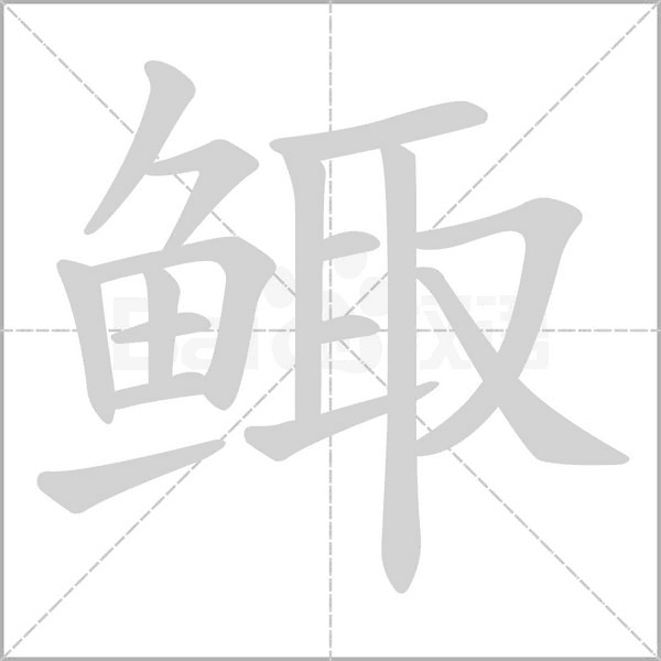 笔顺动画