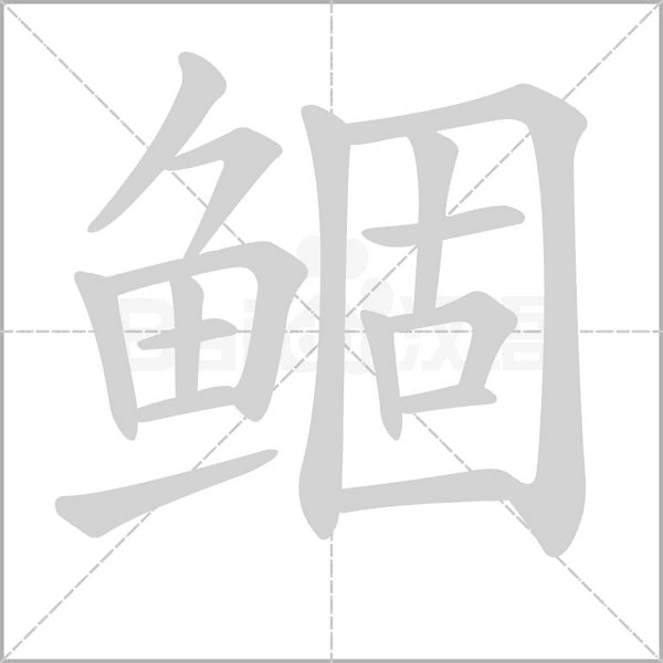 笔顺动画