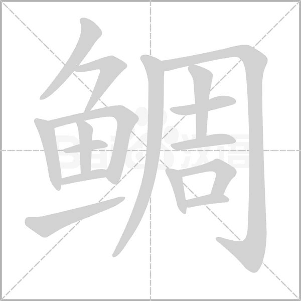 笔顺动画
