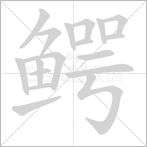 笔顺动画