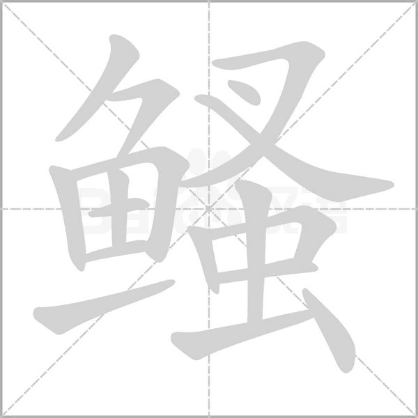笔顺动画