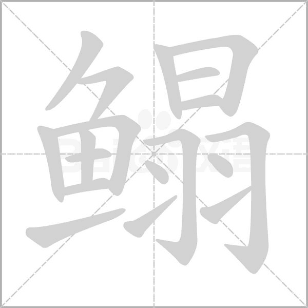 笔顺动画