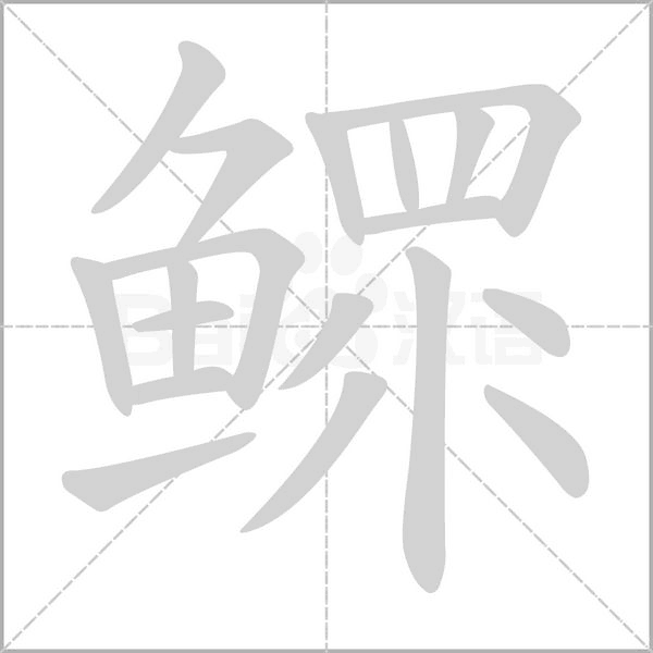 笔顺动画