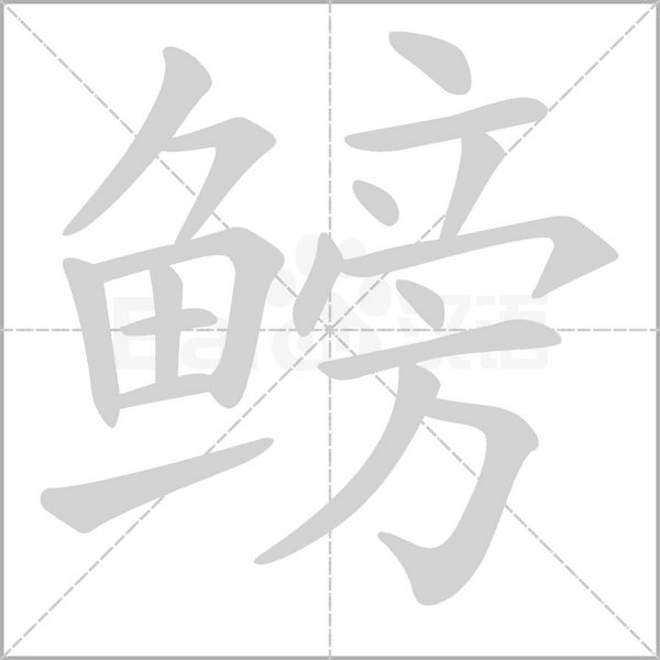笔顺动画