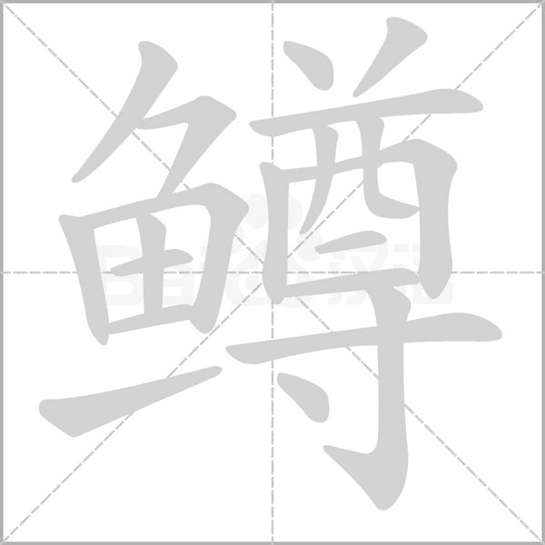 笔顺动画