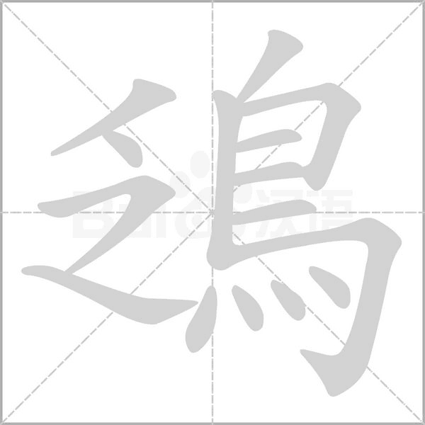 笔顺动画