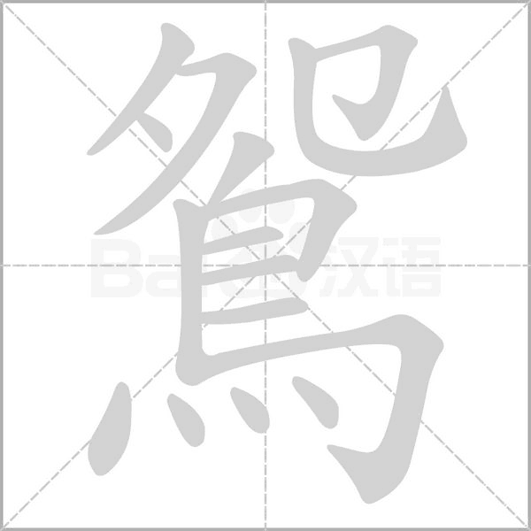 笔顺动画