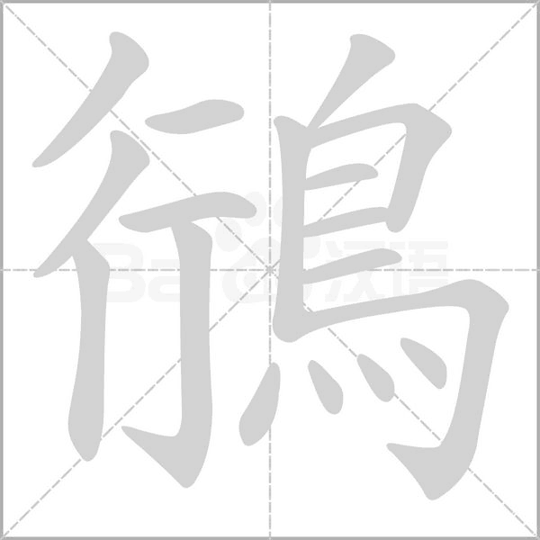 笔顺动画