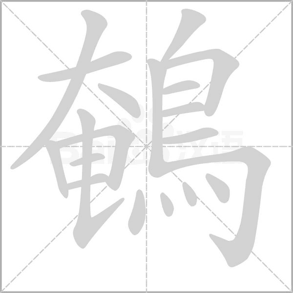 笔顺动画