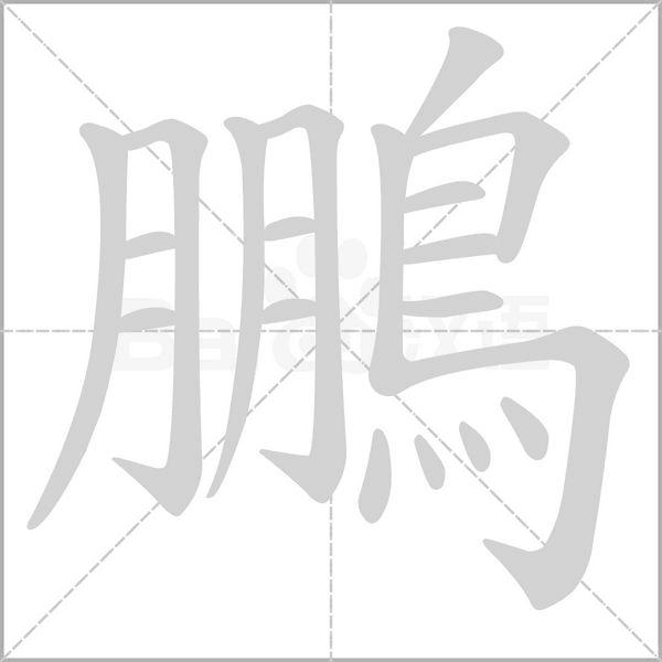 笔顺动画