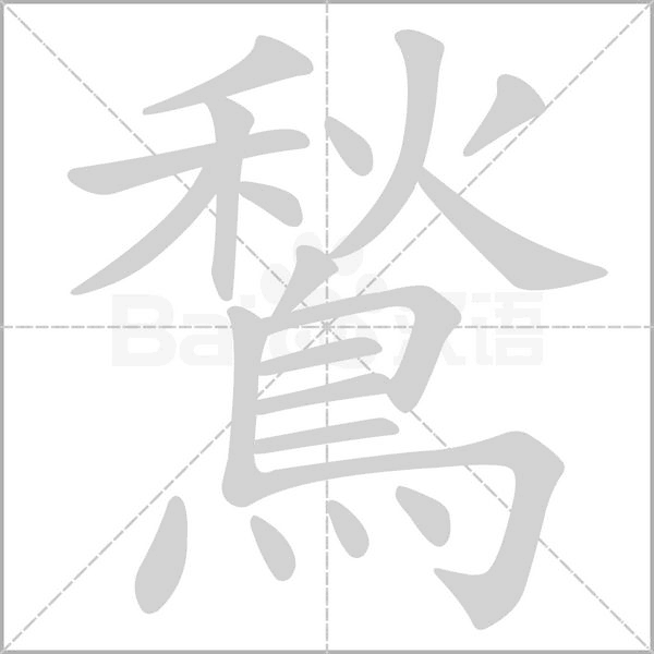 笔顺动画