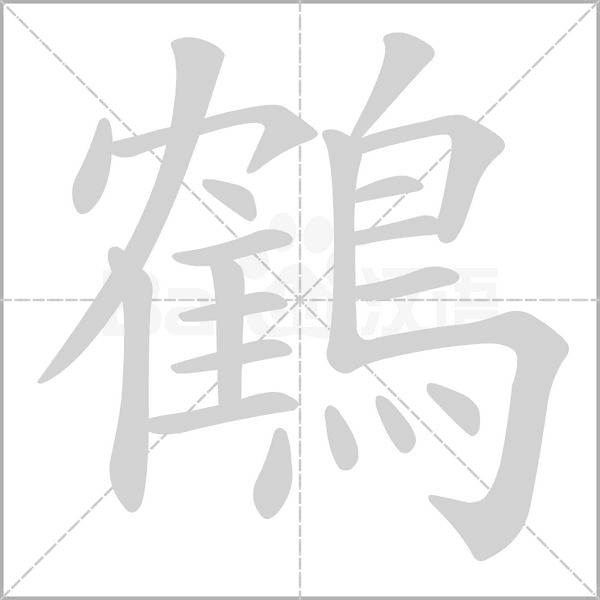 笔顺动画