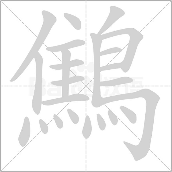 笔顺动画