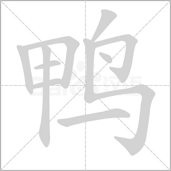 笔顺动画