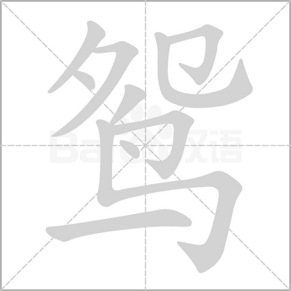 笔顺动画