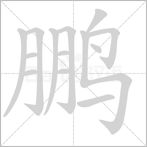 笔顺动画