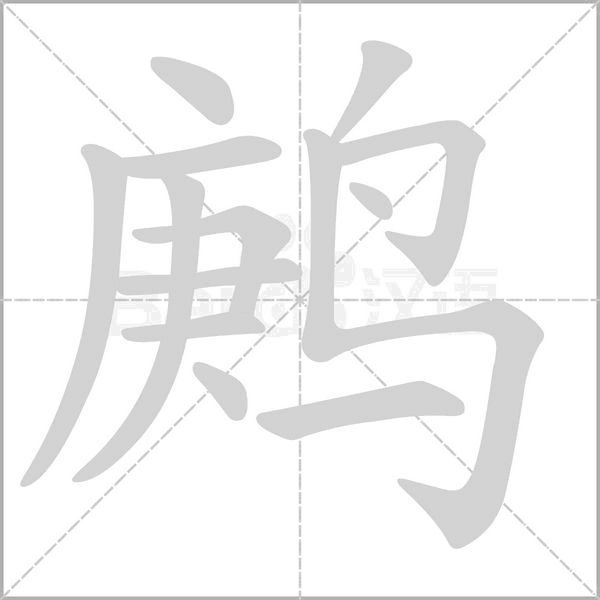 笔顺动画