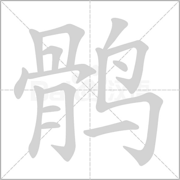 笔顺动画