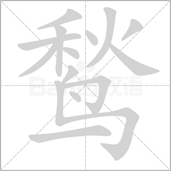 笔顺动画