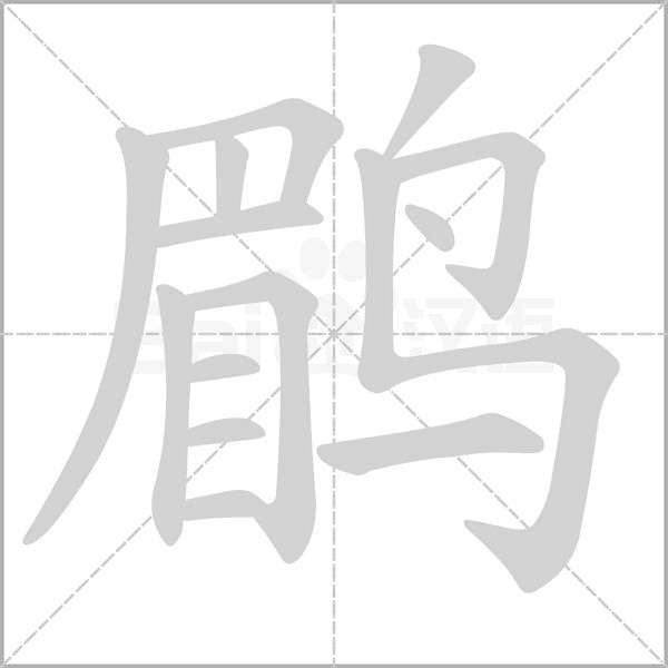 笔顺动画